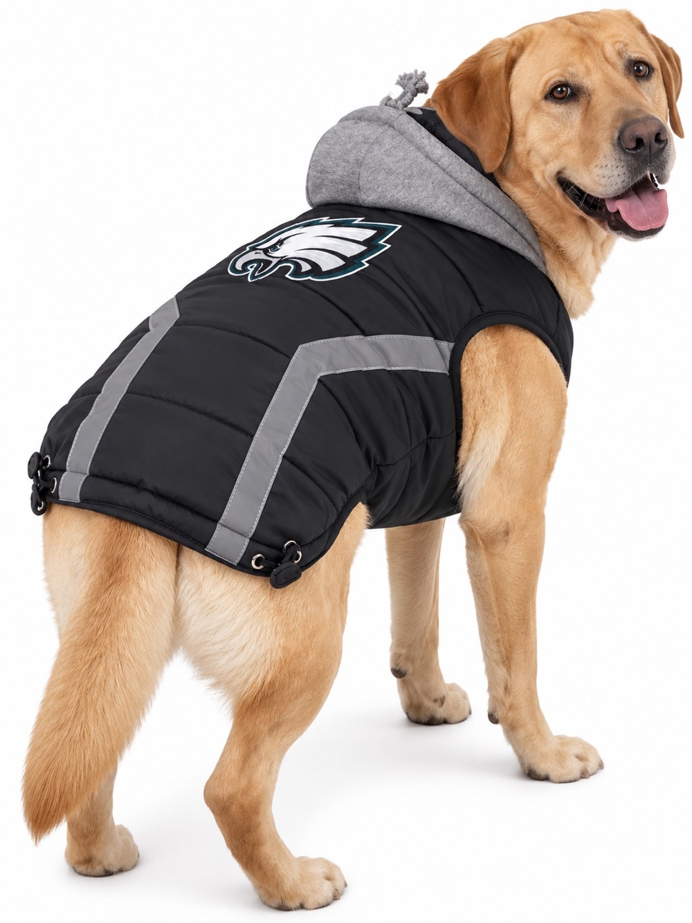 Philadelphia Eagles Dog Puffer Vest- size XXXL (Large Dog)